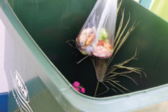 food waste recycling